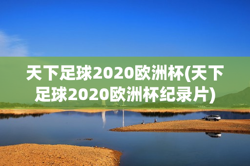 天下足球2020欧洲杯(天下足球2020欧洲杯纪录片)