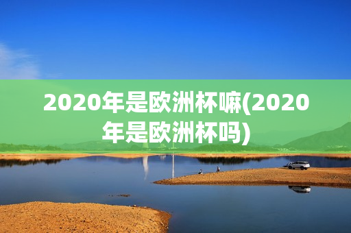 2020年是欧洲杯嘛(2020年是欧洲杯吗)