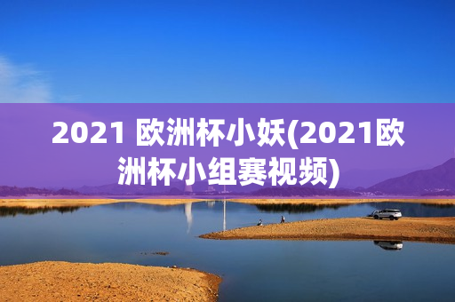 2021 欧洲杯小妖(2021欧洲杯小组赛视频)