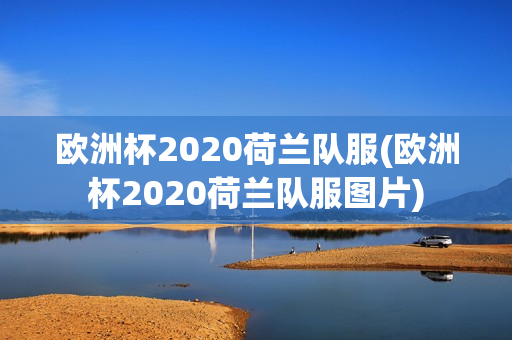 欧洲杯2020荷兰队服(欧洲杯2020荷兰队服图片)