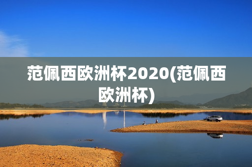 范佩西欧洲杯2020(范佩西欧洲杯)