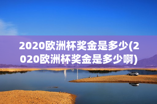 2020欧洲杯奖金是多少(2020欧洲杯奖金是多少啊)