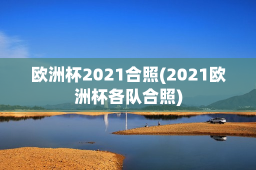 欧洲杯2021合照(2021欧洲杯各队合照)