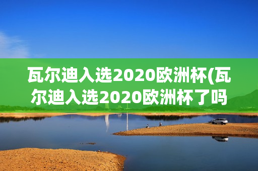 瓦尔迪入选2020欧洲杯(瓦尔迪入选2020欧洲杯了吗)