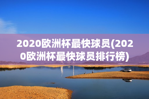 2020欧洲杯最快球员(2020欧洲杯最快球员排行榜)