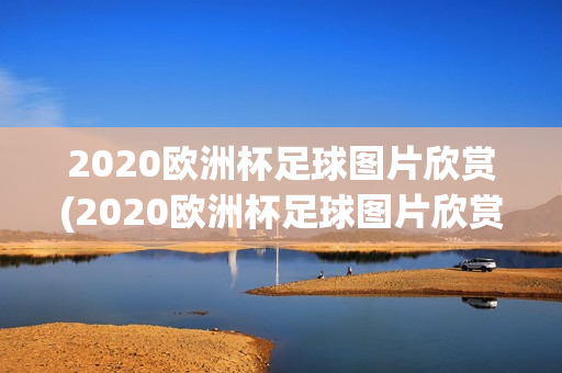 2020欧洲杯足球图片欣赏(2020欧洲杯足球图片欣赏大全)