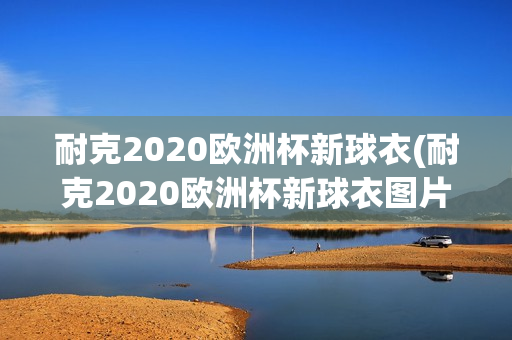 耐克2020欧洲杯新球衣(耐克2020欧洲杯新球衣图片)