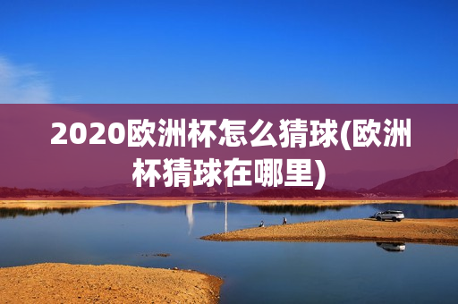 2020欧洲杯怎么猜球(欧洲杯猜球在哪里)