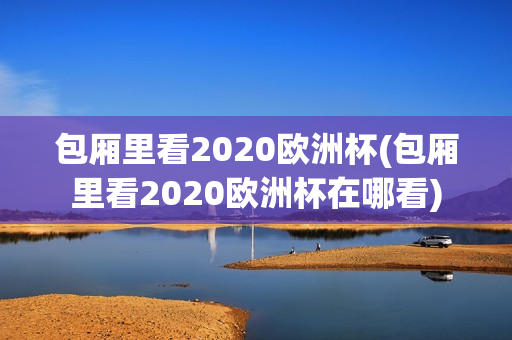 包厢里看2020欧洲杯(包厢里看2020欧洲杯在哪看)