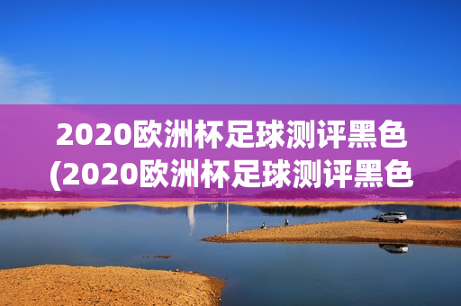 2020欧洲杯足球测评黑色(2020欧洲杯足球测评黑色球员)