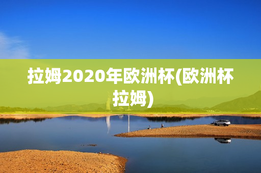 拉姆2020年欧洲杯(欧洲杯 拉姆)