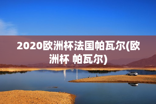 2020欧洲杯法国帕瓦尔(欧洲杯 帕瓦尔)