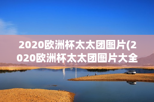 2020欧洲杯太太团图片(2020欧洲杯太太团图片大全)