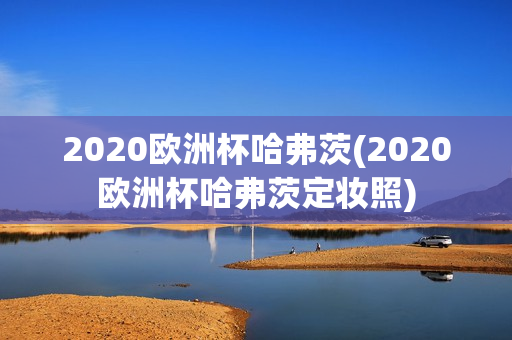 2020欧洲杯哈弗茨(2020欧洲杯哈弗茨定妆照)