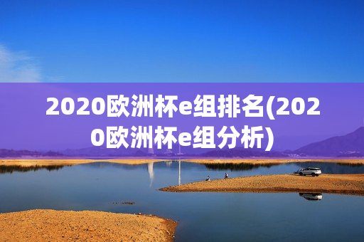 2020欧洲杯e组排名(2020欧洲杯e组分析)