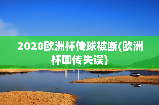 2020欧洲杯传球被断(欧洲杯回传失误)