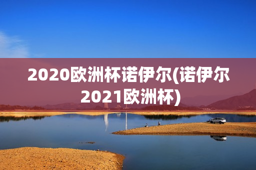 2020欧洲杯诺伊尔(诺伊尔 2021欧洲杯)