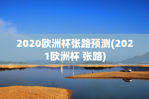 2020欧洲杯张路预测(2021欧洲杯 张路)