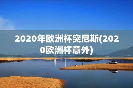 2020年欧洲杯突尼斯(2020欧洲杯意外)