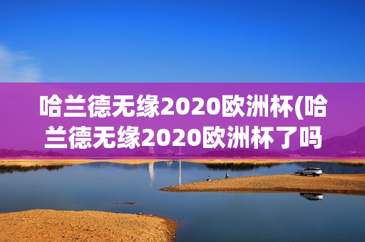 哈兰德无缘2020欧洲杯(哈兰德无缘2020欧洲杯了吗)