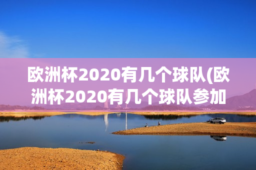 欧洲杯2020有几个球队(欧洲杯2020有几个球队参加)