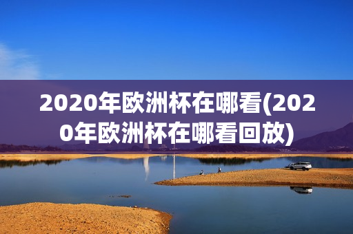 2020年欧洲杯在哪看(2020年欧洲杯在哪看回放)