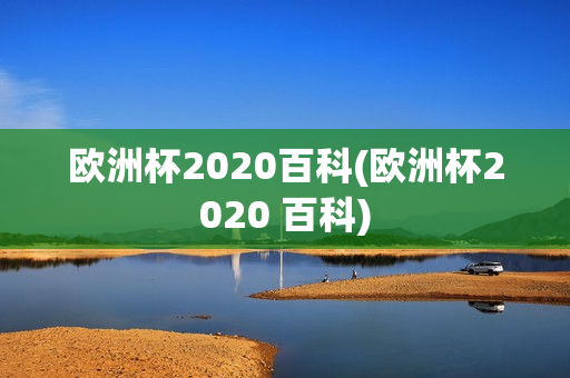 欧洲杯2020百科(欧洲杯2020 百科)