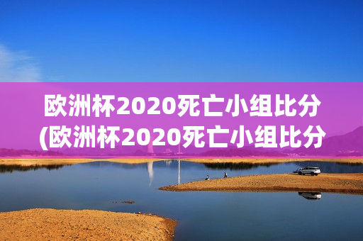 欧洲杯2020死亡小组比分(欧洲杯2020死亡小组比分表)