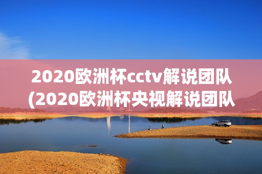 2020欧洲杯cctv解说团队(2020欧洲杯央视解说团队)