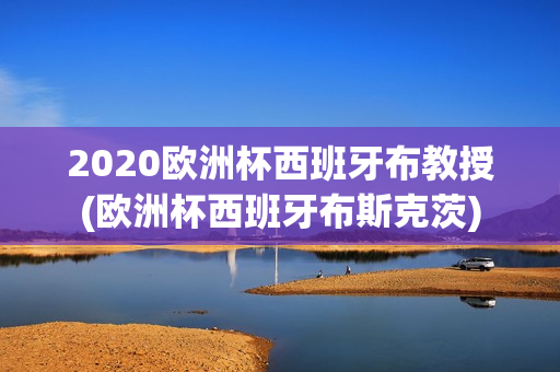 2020欧洲杯西班牙布教授(欧洲杯西班牙布斯克茨)