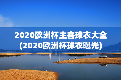 2020欧洲杯主客球衣大全(2020欧洲杯球衣曝光)