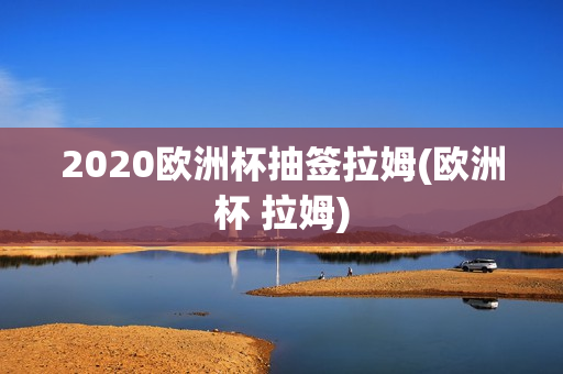 2020欧洲杯抽签拉姆(欧洲杯 拉姆)