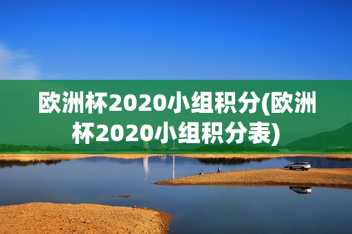 欧洲杯2020小组积分(欧洲杯2020小组积分表)