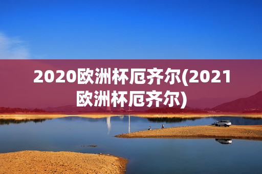 2020欧洲杯厄齐尔(2021欧洲杯厄齐尔)