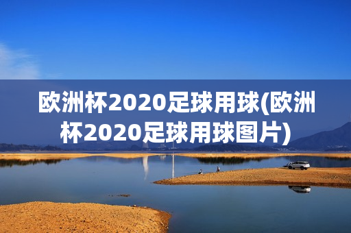 欧洲杯2020足球用球(欧洲杯2020足球用球图片)