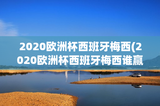 2020欧洲杯西班牙梅西(2020欧洲杯西班牙梅西谁赢了)