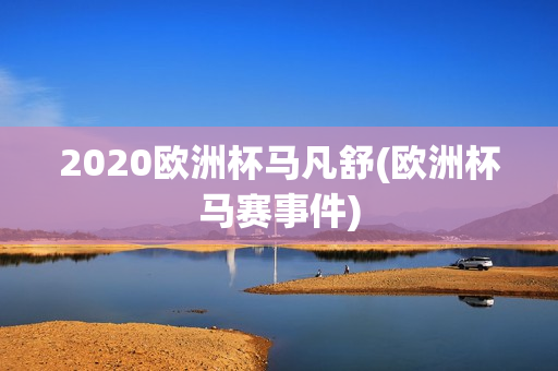 2020欧洲杯马凡舒(欧洲杯马赛事件)