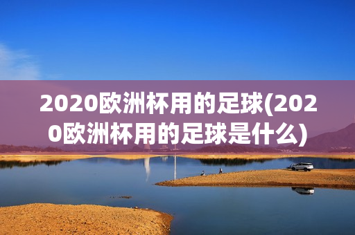 2020欧洲杯用的足球(2020欧洲杯用的足球是什么)