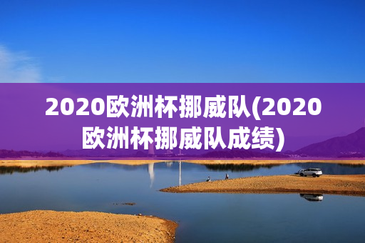 2020欧洲杯挪威队(2020欧洲杯挪威队成绩)