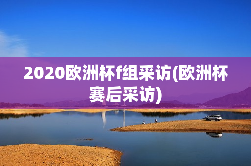 2020欧洲杯f组采访(欧洲杯赛后采访)