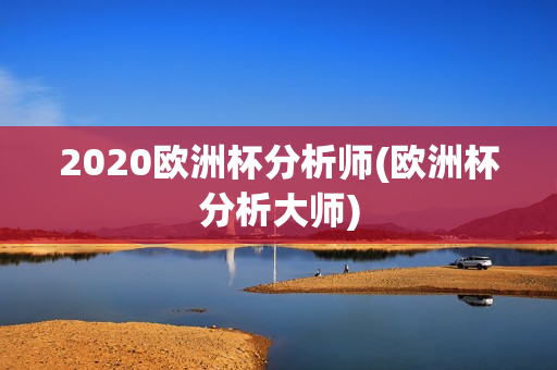 2020欧洲杯分析师(欧洲杯分析大师)