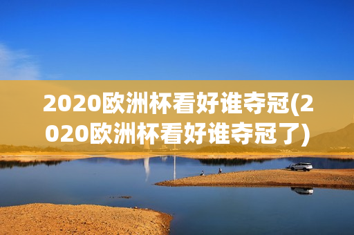 2020欧洲杯看好谁夺冠(2020欧洲杯看好谁夺冠了)