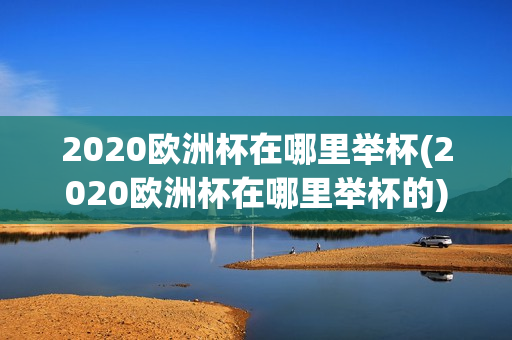 2020欧洲杯在哪里举杯(2020欧洲杯在哪里举杯的)