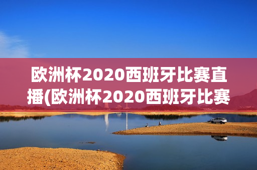 欧洲杯2020西班牙比赛直播(欧洲杯2020西班牙比赛直播回放)