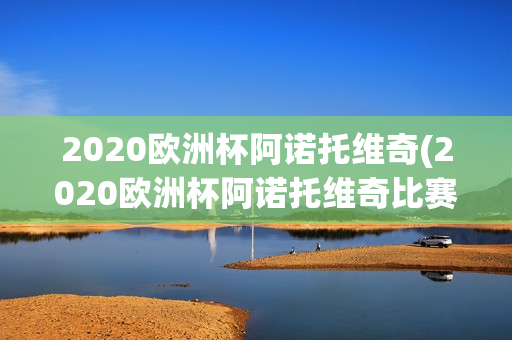 2020欧洲杯阿诺托维奇(2020欧洲杯阿诺托维奇比赛结果)