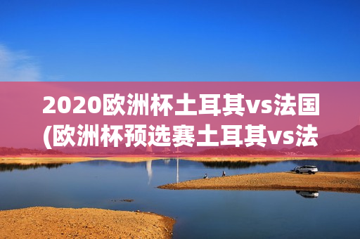 2020欧洲杯土耳其vs法国(欧洲杯预选赛土耳其vs法国)