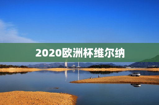 2020欧洲杯维尔纳