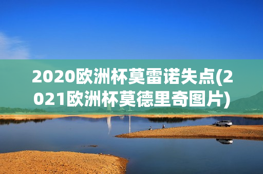 2020欧洲杯莫雷诺失点(2021欧洲杯莫德里奇图片)