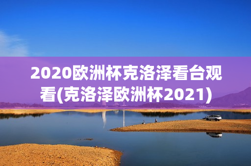 2020欧洲杯克洛泽看台观看(克洛泽欧洲杯2021)