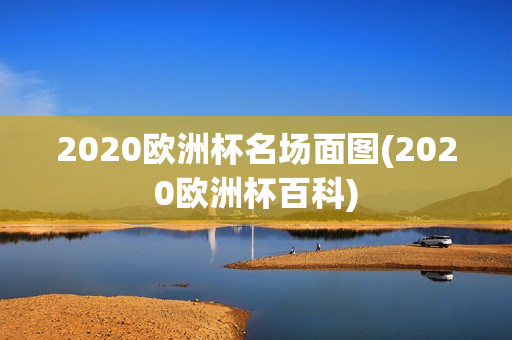 2020欧洲杯名场面图(2020欧洲杯百科)